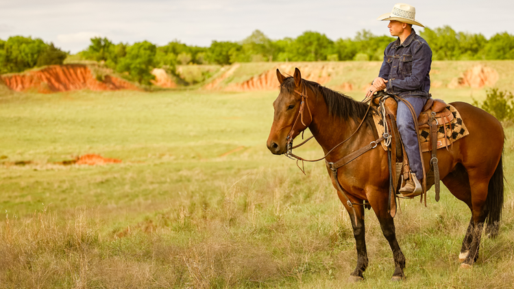 Cody a caballo en el campo